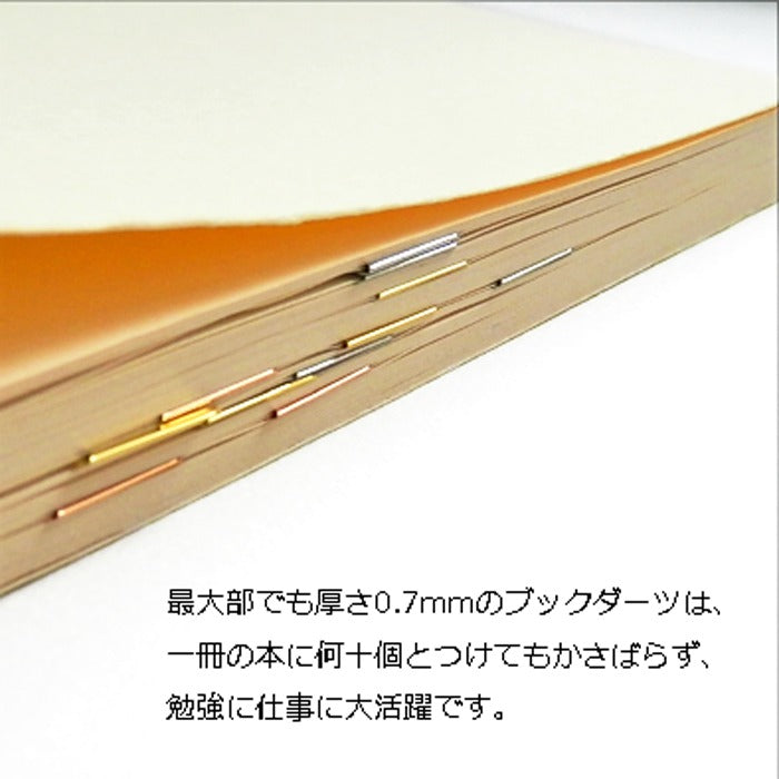 ブックダーツ 12個シート BOOK DARTS