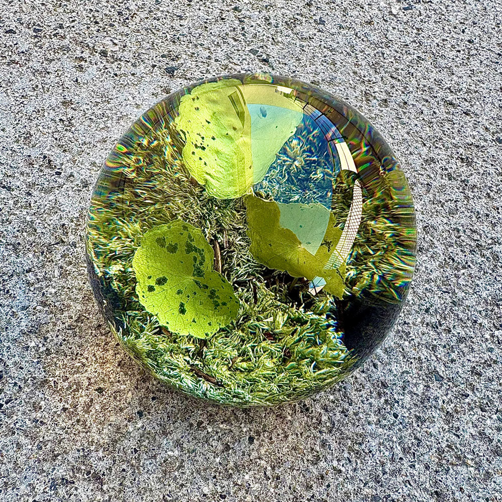 アマブロ エバーリーフボール amabro EVER LEAF BALL