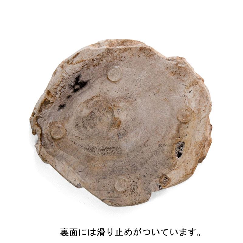 アマブロ ウッドコースター ナチュラル ブラック amabro