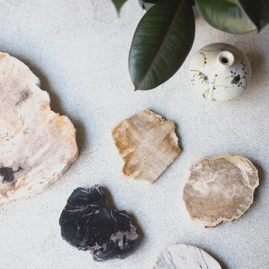 アマブロ ウッドコースター ナチュラル ブラック amabro