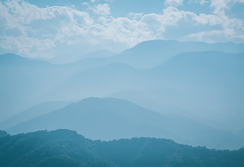 siwa 紙和 ブックカバー A5 シワ