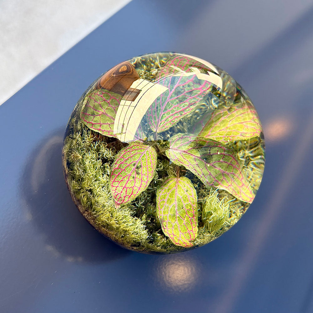 アマブロ エバーリーフボール amabro EVER LEAF BALL