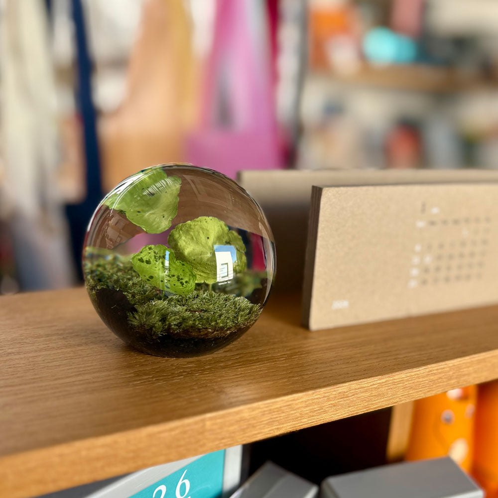 アマブロ エバーリーフボール amabro EVER LEAF BALL