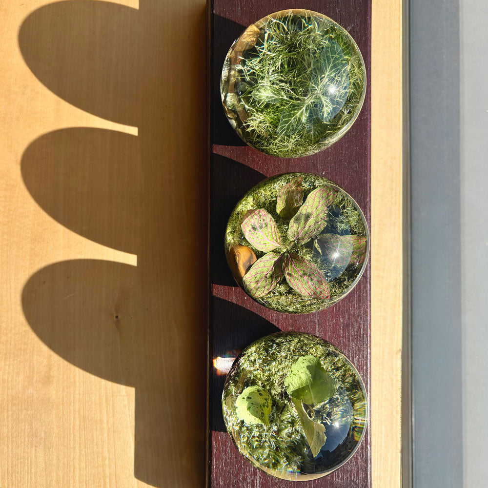 アマブロ エバーリーフボール amabro EVER LEAF BALL