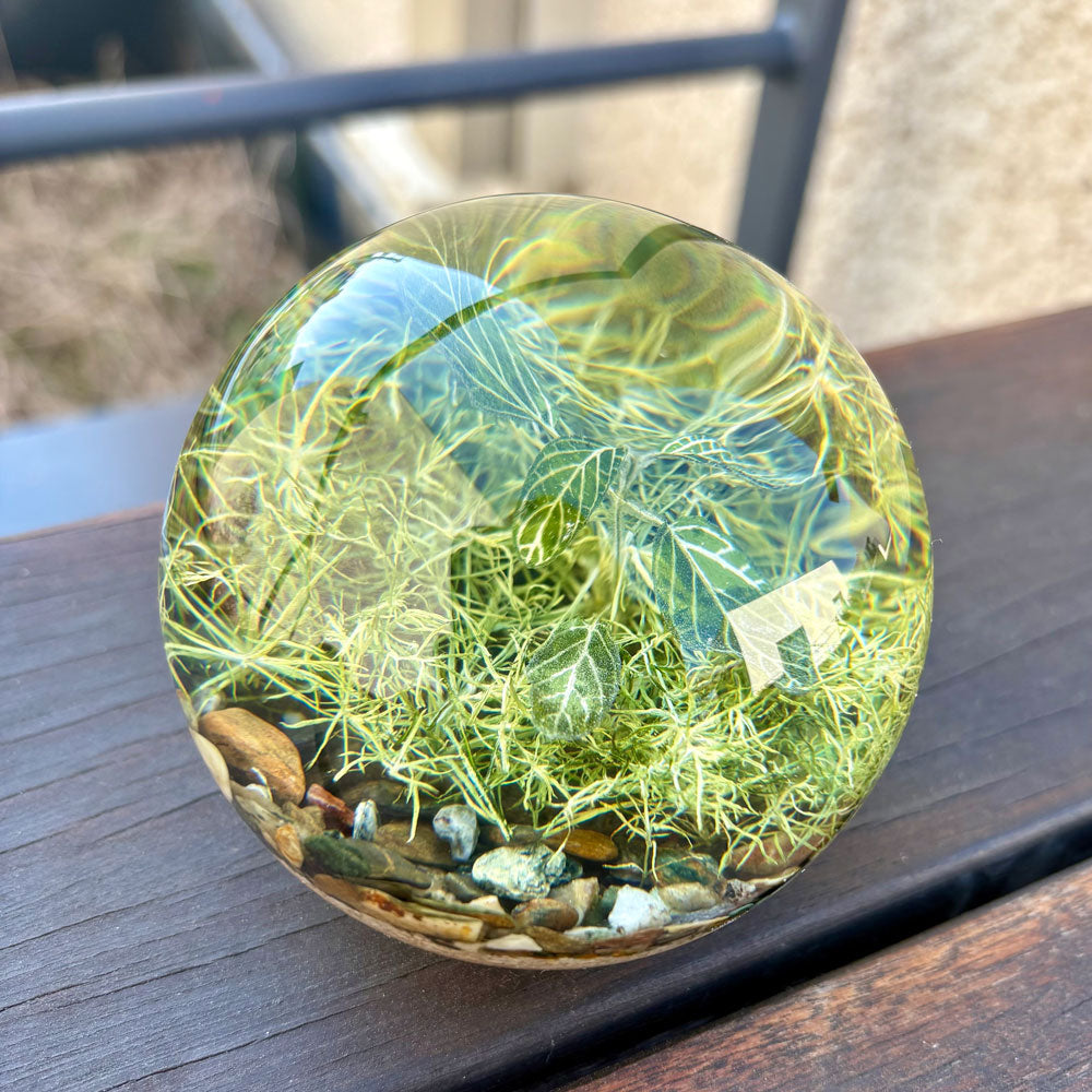 アマブロ エバーリーフボール amabro EVER LEAF BALL