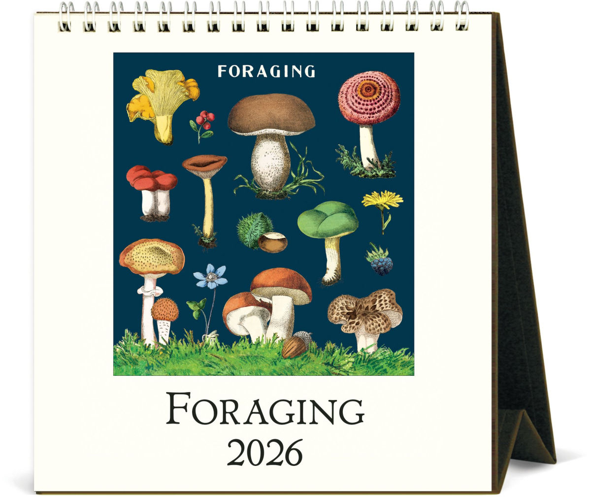 カバリーニ 2026年 カレンダー   FORAGING フォレジング キノコ   卓上