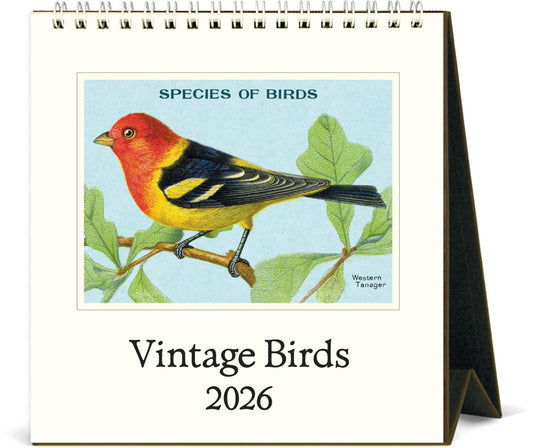 カバリーニ 2026年 カレンダー Vintage Birds ヴィンテージ バード  卓上