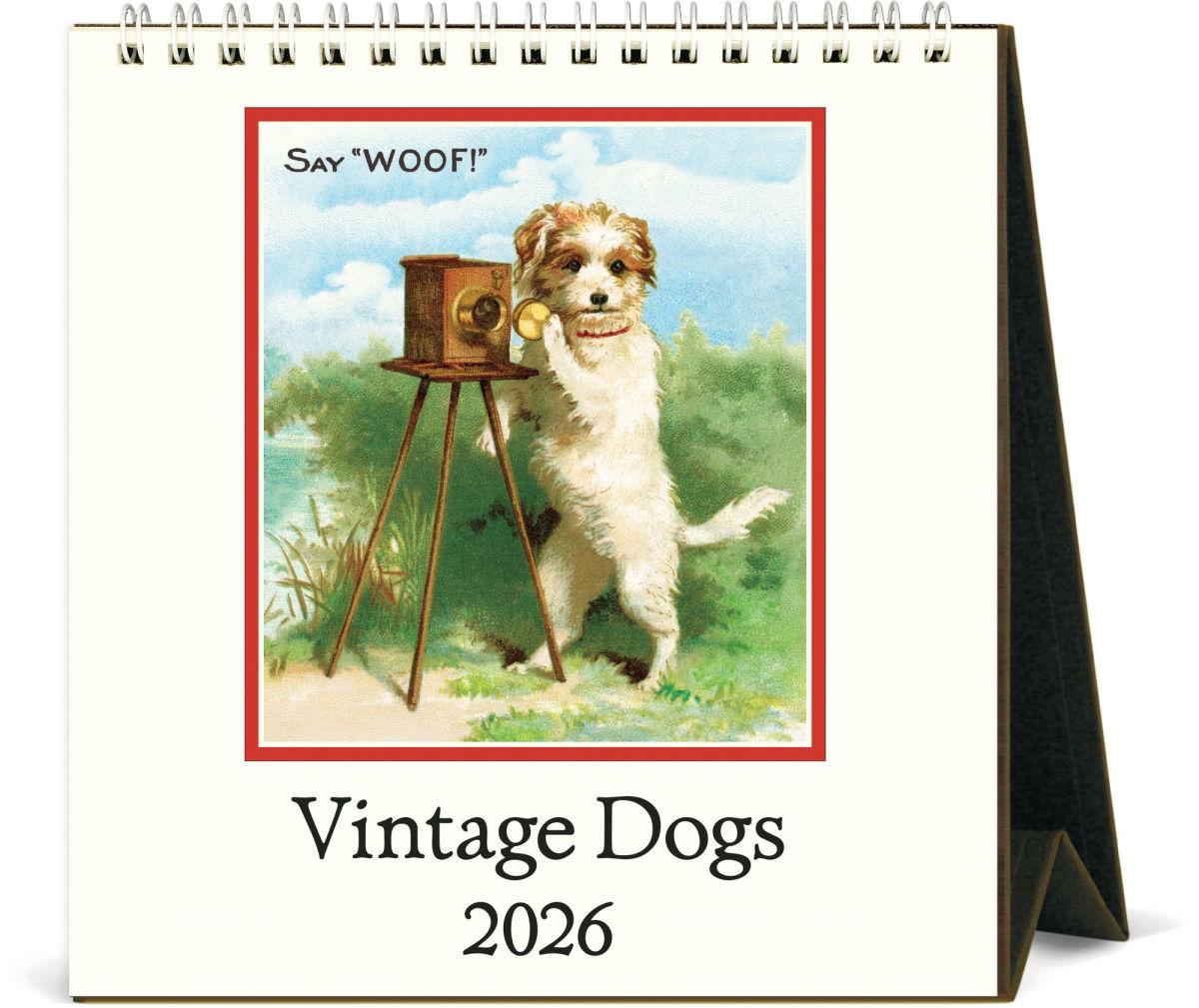 カバリーニ 2026年 カレンダー VintageDogs ヴィンテージ ドッグ 卓上