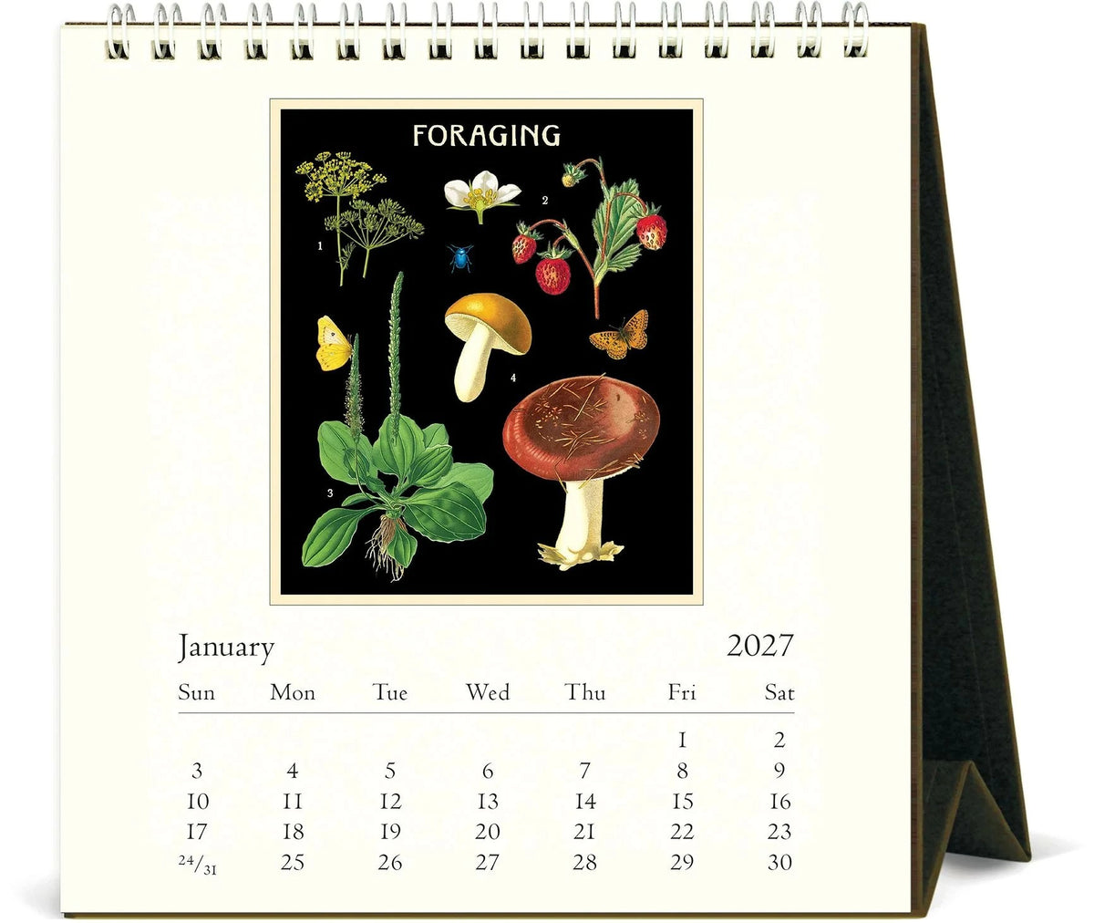 カバリーニ 2027年 カレンダー   FORAGING フォレジング キノコ   卓上