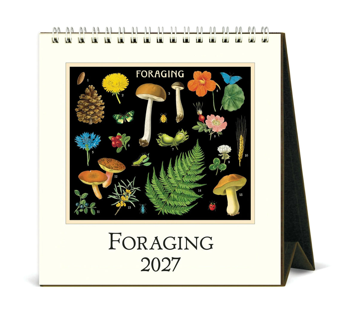 カバリーニ 2027年 カレンダー   FORAGING フォレジング キノコ   卓上