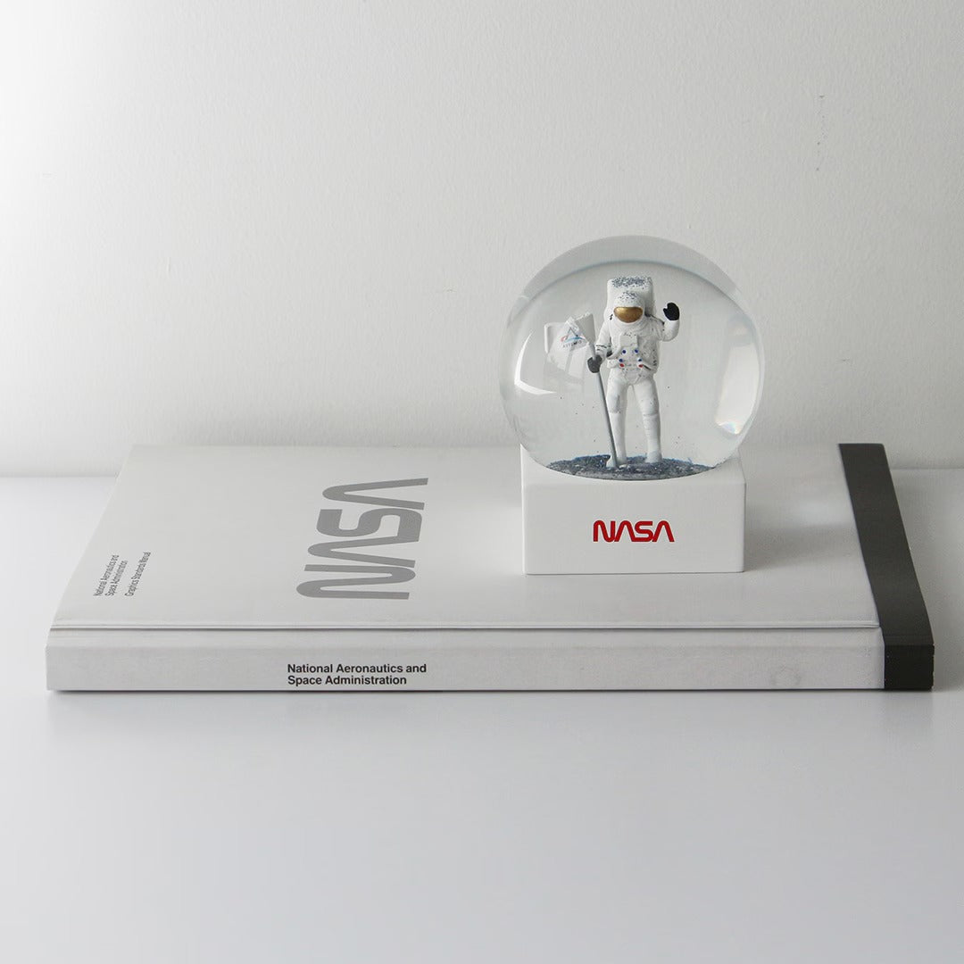 NASA Snow Globe ナサ スノー グローブ スノードーム