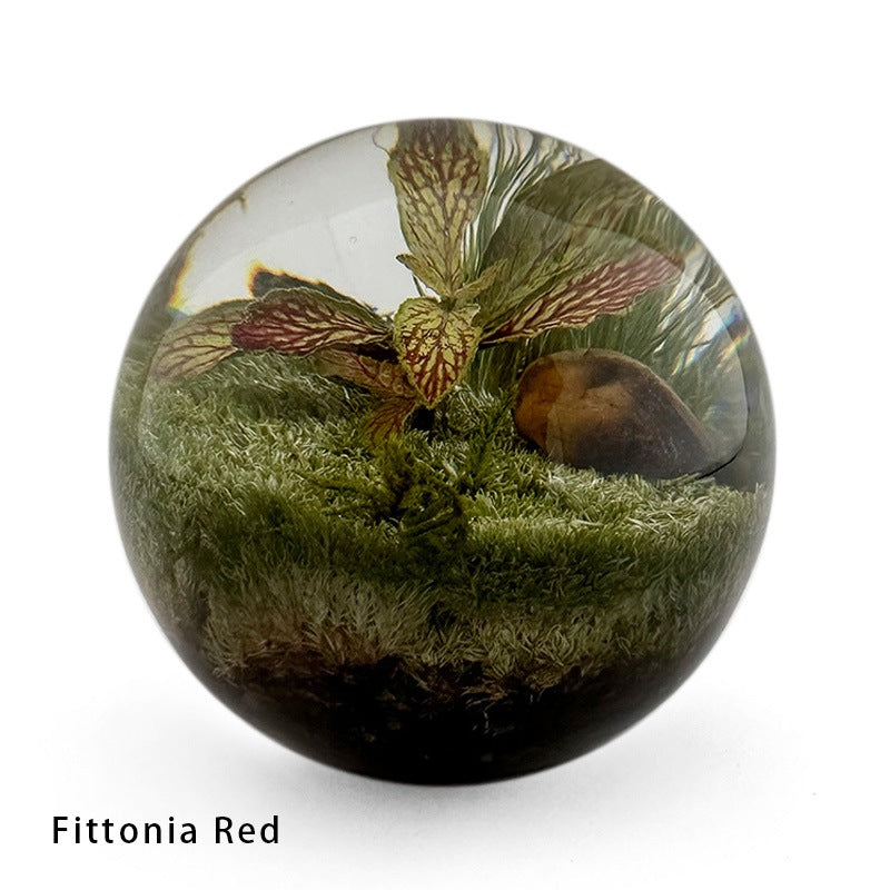 アマブロ エバーリーフボール amabro EVER LEAF BALL