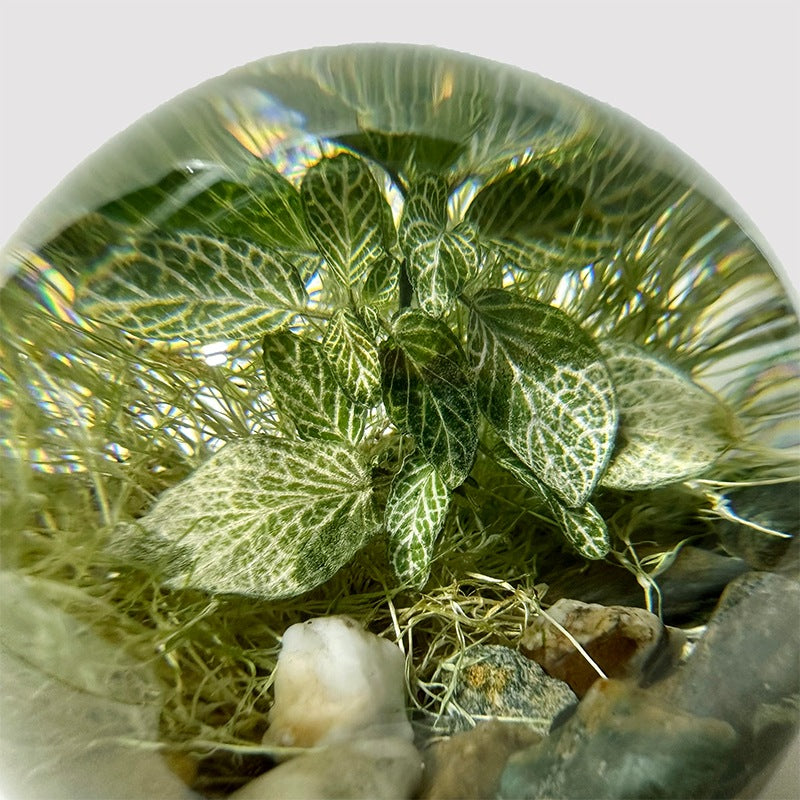 アマブロ エバーリーフボール amabro EVER LEAF BALL