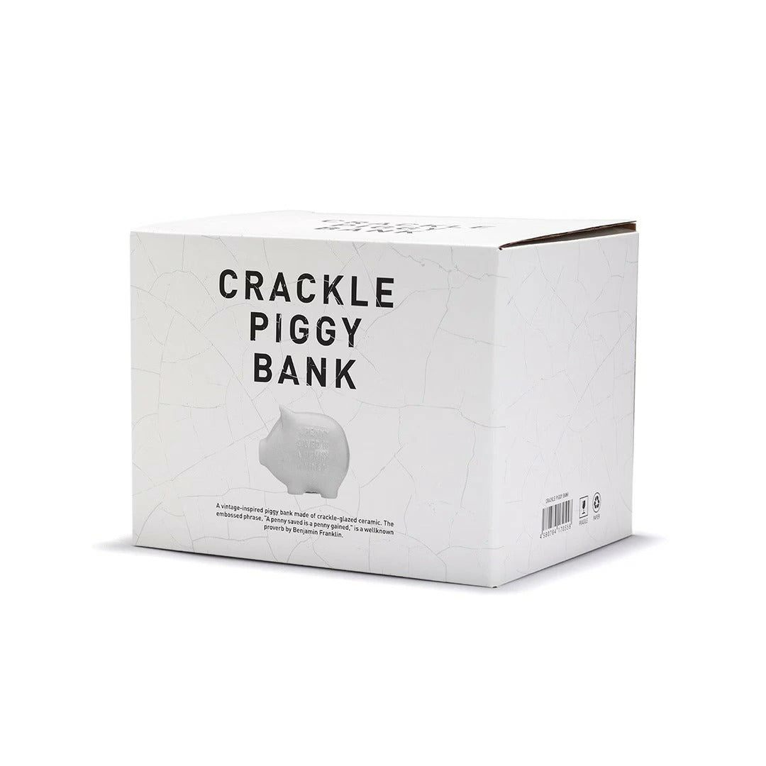 クラックル ピギー バンク Crackle Piggy Bank DETAIL